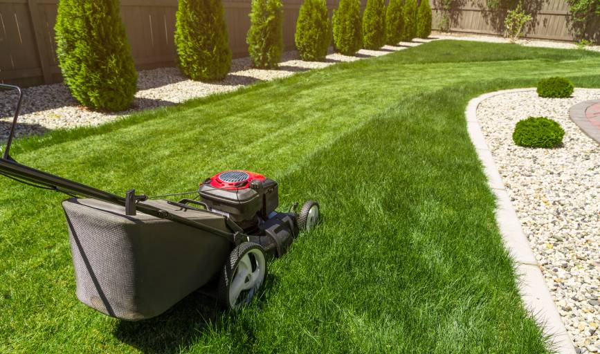 Lawn Mowing